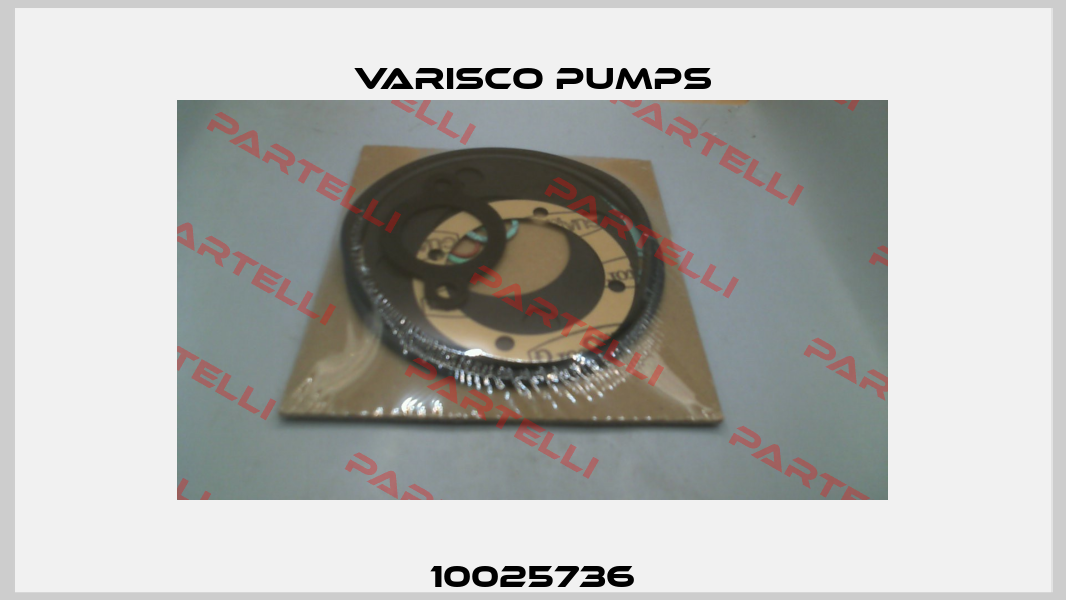 10025736 Varisco pumps