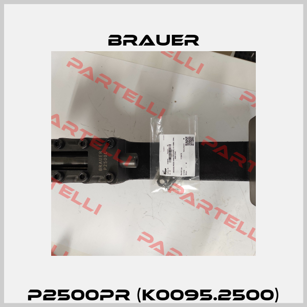 P2500PR (K0095.2500) Brauer