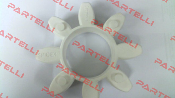 SP480262 R+L HYDRAULICS