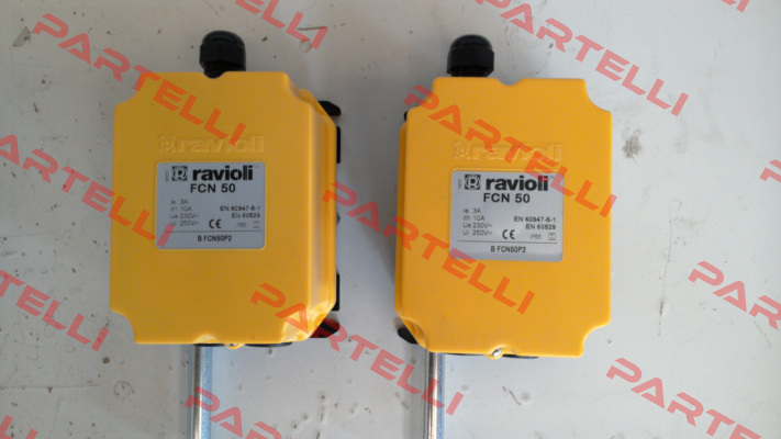 BFCN50 P2 Ravioli