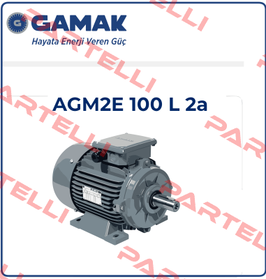 2007 177409 AGM 100 L 2 Gamak