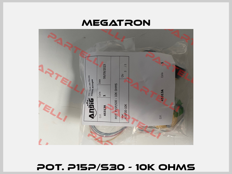 POT. P15P/S30 - 10K OHMS Megatron