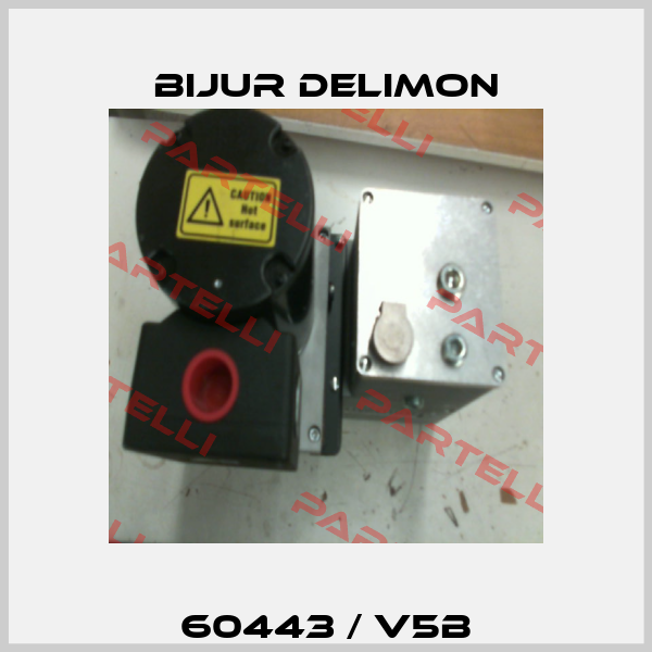 60443 / V5B Bijur Delimon
