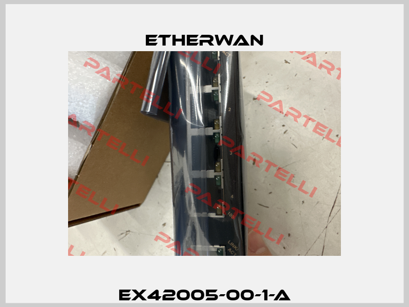 EX42005-00-1-A Etherwan