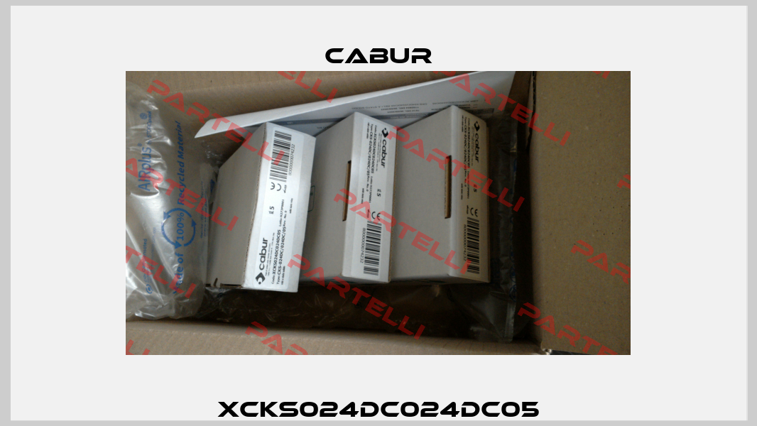 XCKS024DC024DC05 Cabur