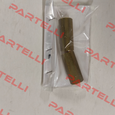 P1923 Pasquin